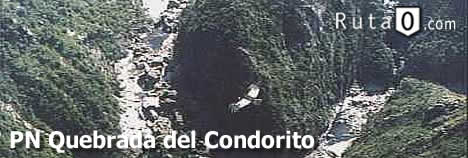 Parque Nacional Quebrada del Condorito