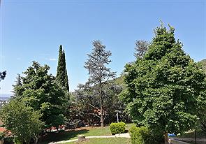 Departamentos y habitaciones equipadas Guillermo y Alicia