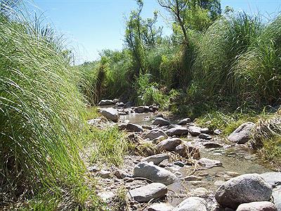 Arroyo en Sendero Los Jilgueros