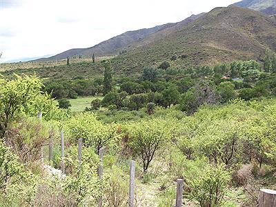 Cercanias del Chorro de San Ignacio