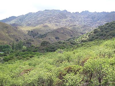 Vista de las Sierras de Comechingones