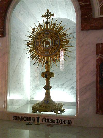 Vertebra de Ceferino