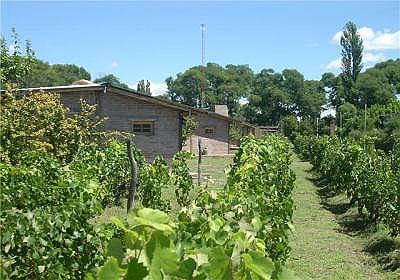 Viñas