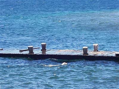 Lago y pequeño muelle
