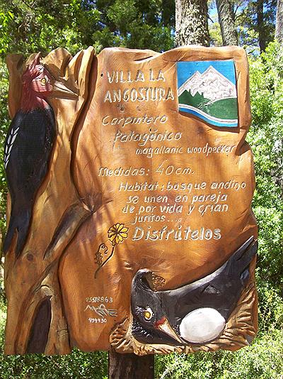 Cartel Patagònico (Pàjaro carpintero)