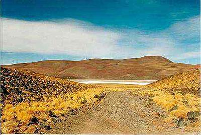 Laguna Mulas Muertas