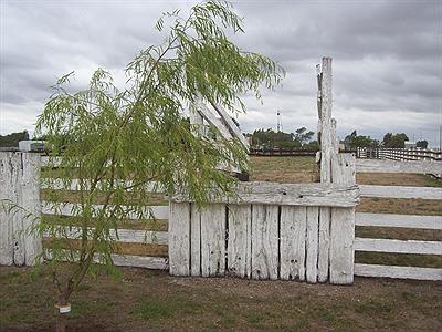 Espartillar -corral-