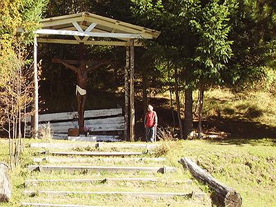 Parque Nacional Lanín