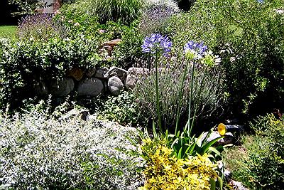 Jardin de Las Ardillas - Cabañas & Suites