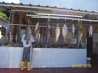 Costa Alta-Venta de pescado fresco