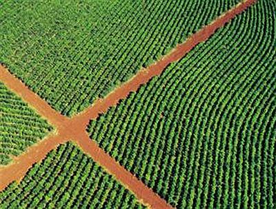 Establecimiento Las Marías