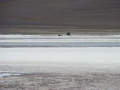 un avion que cayo hace muchos años