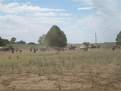 escuela agrotecnica, dia de la tradicion