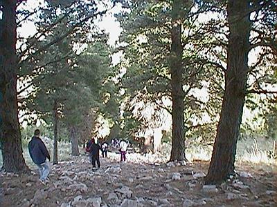 Primera parte de la subida al cerro La Ventana