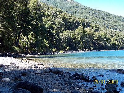 Una vegetacion unica