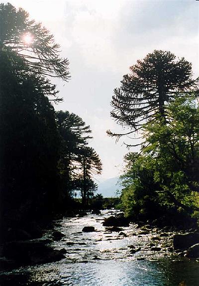 Título de la foto 3