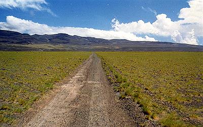 Camino a Antofagasta de la Sierra