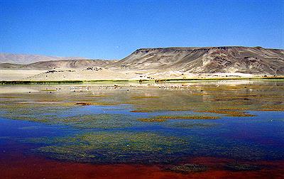 Laguna de La Alumbrera, Antofagasta de la Sierra