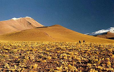 Rumbo al Beltrán (5200m), Antofagasta de la Sierra