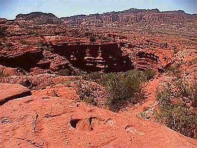 Pisada de dinosaurio