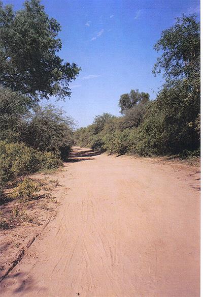 camino  hacia la  nada