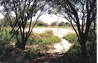 frontera  del  impenetrable 