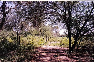 bordeando  la   ruta  34