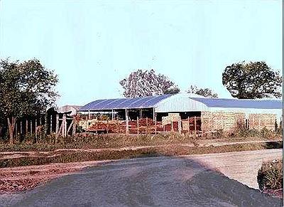 Importante Centro Industrial de la madera