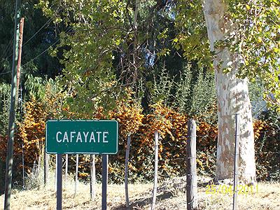Entrando a Cafayate
