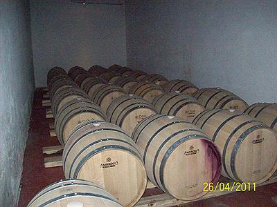 Bodega familiar-Nanni- Cafayate