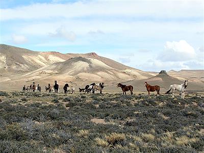 Caballos Salvajes