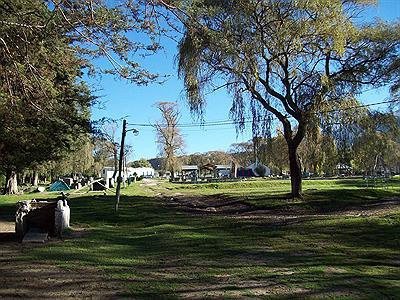 Camping Los Sauzales