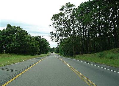 Ruta 11 entre Cariló y Villa Gesell