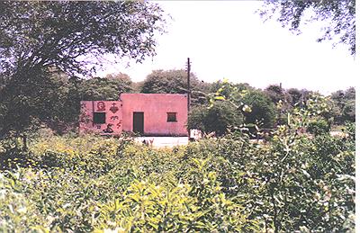 el CHE medio del monte 