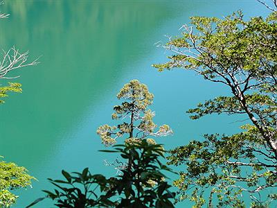 Lago Cisne, Parque Nacional los Alerces