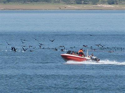 la naturaleza tiene apetito