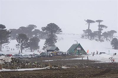 primeros pinos paisaje