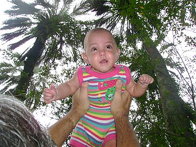 volando en el palmar