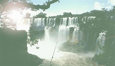 Todos los verdes en un solo lugar