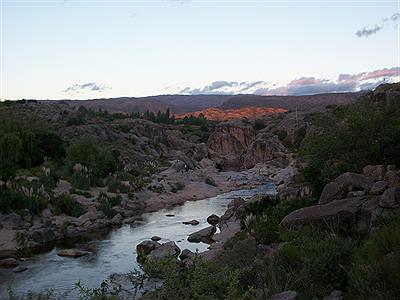 Nido de águila al atardecer.