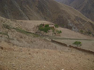 VIVIENDA ABANDONADA  HACE MAS DE 15 AÑOS FLIA LUNA