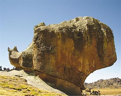 Bosque Piedra de Huayllay