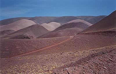 Camino a Laguna Brava