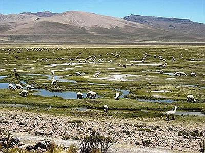 Salinas Aguada Blanca