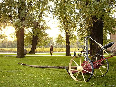 Viña Cousiño Macul