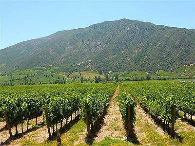 Ruta del Vino de Colchagua