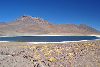 Lagunas Altiplánicas