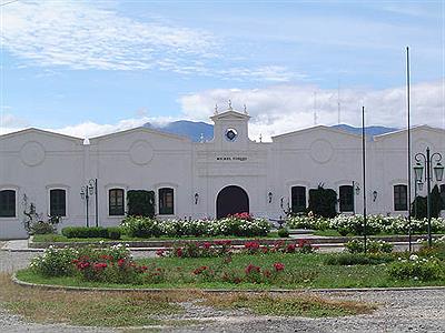Bodegas Michel Torino