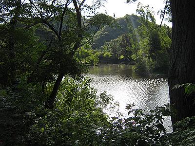 Camino de las cien curvas