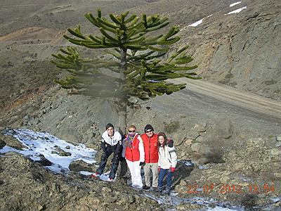 Comienzo de Vacaciones